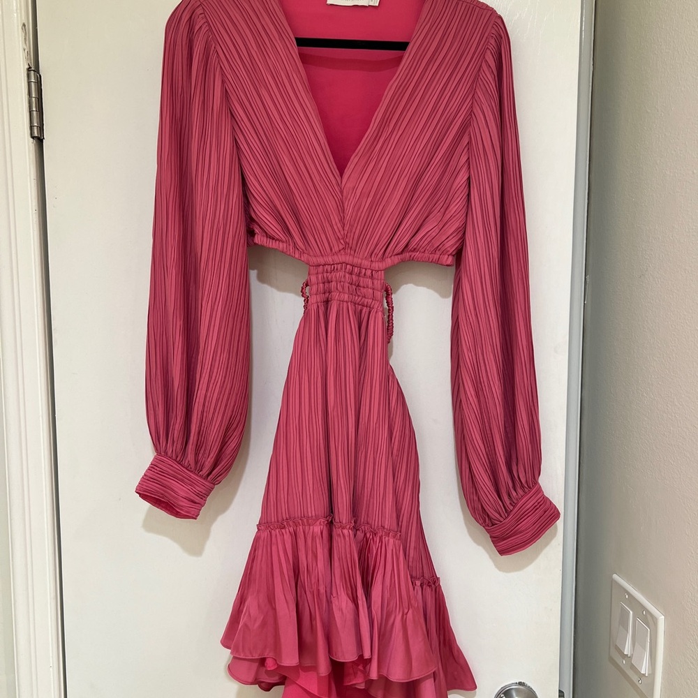 Elegant Jonathan Simkhai Pink Pleated Dress